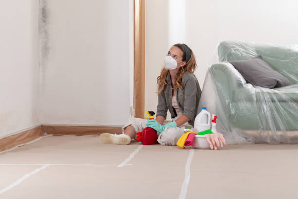 Reliable Mold Testing contractor in Pomeroy, WA by WQB Mold Removal